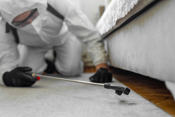 Professional Bed Bug Control technician working in Highland, UT